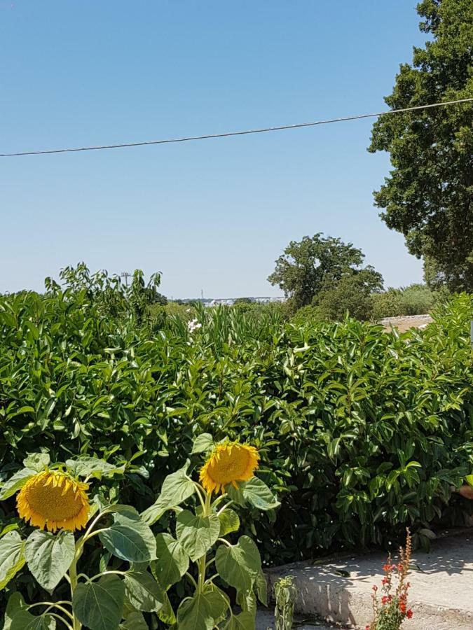Trulli Della Masseria Staffone Alberobello Luaran gambar